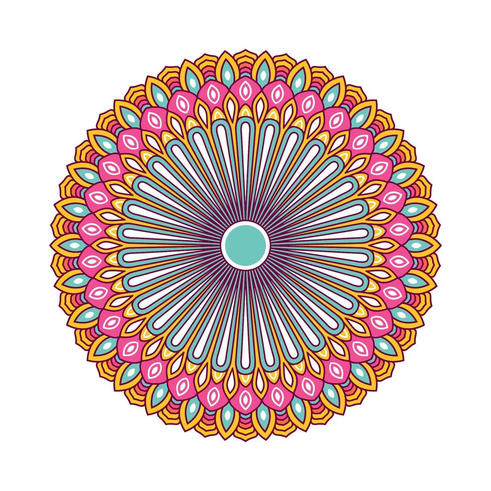 Colorful mandala with floral ornament vector