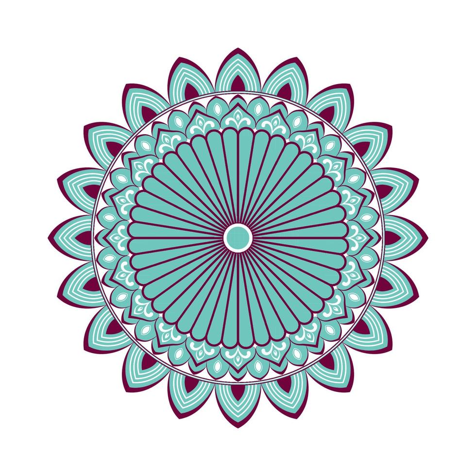 Colorful mandala with floral ornament vector