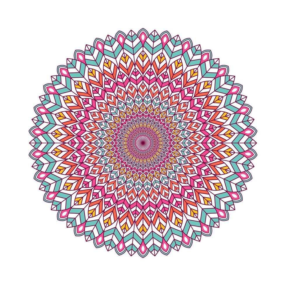 Colorful mandala with floral ornament vector