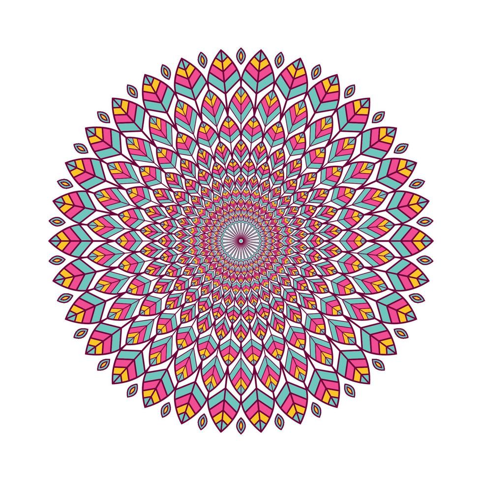 Colorful mandala with floral ornament vector
