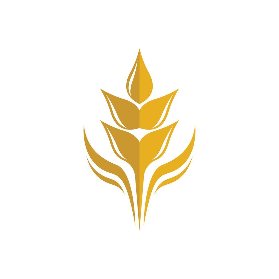 Wheat vector icon