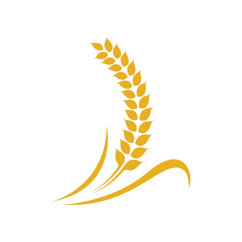 Wheat logo images vector