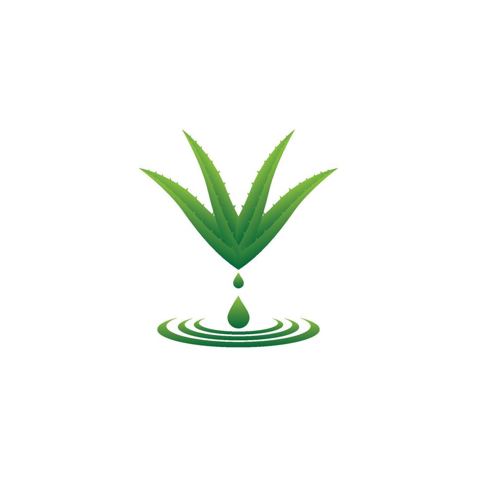 icono de vector de hierbas cosméticas de aloe vera