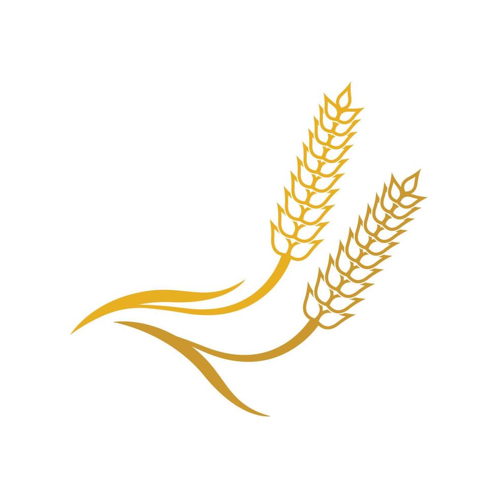 Wheat vector icon