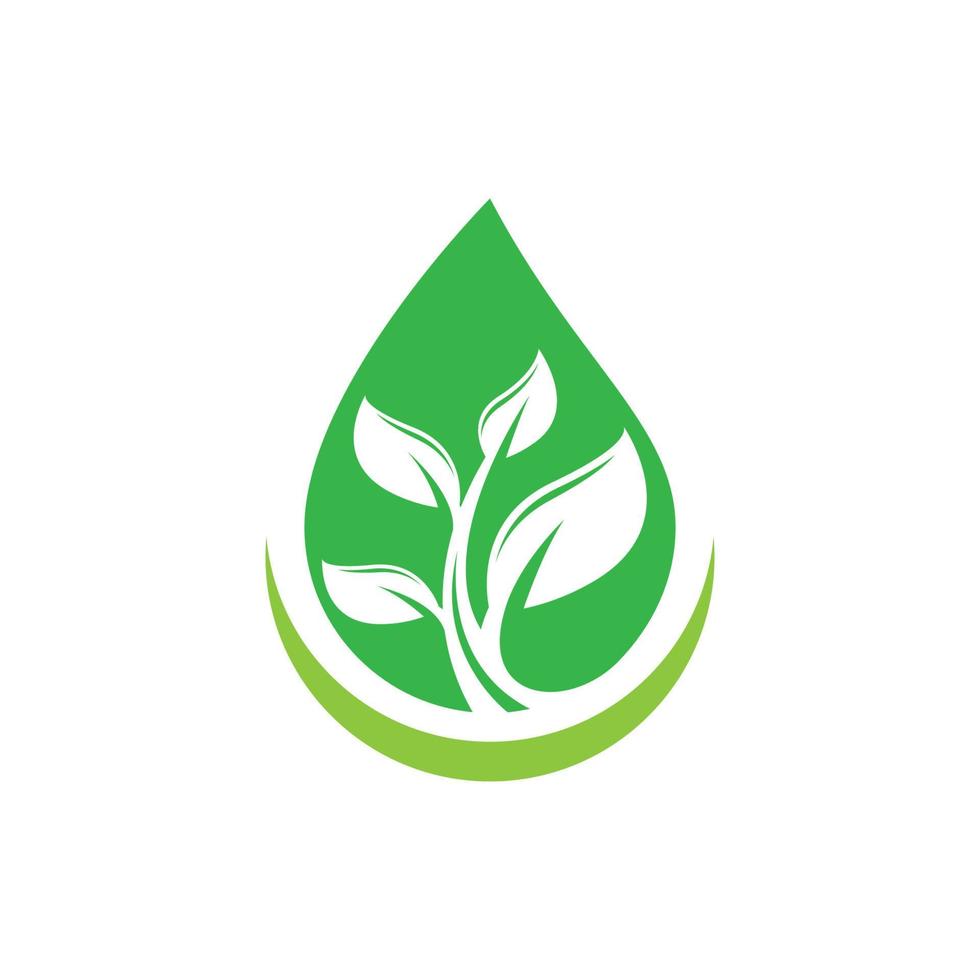 Green drop vector icon