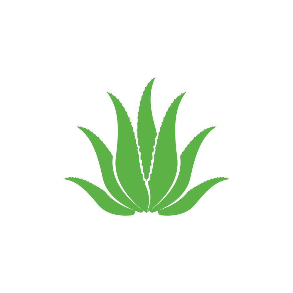Aloe vera cosmetic herbal logo images  illustration vector