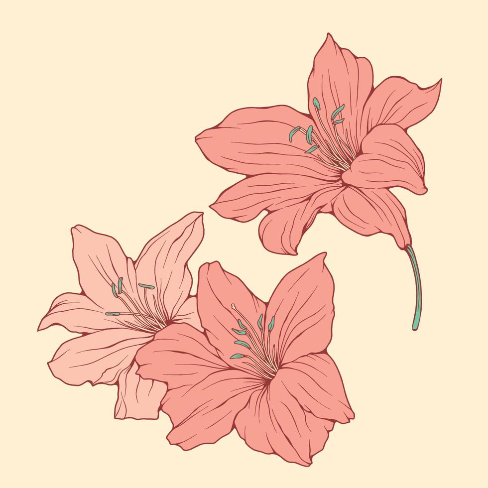 ilustración dibujada a mano de plantas y flores de belleza en estilo de arte de línea colorida para fondo, patrón floral, invitaciones e impresión de tela vector