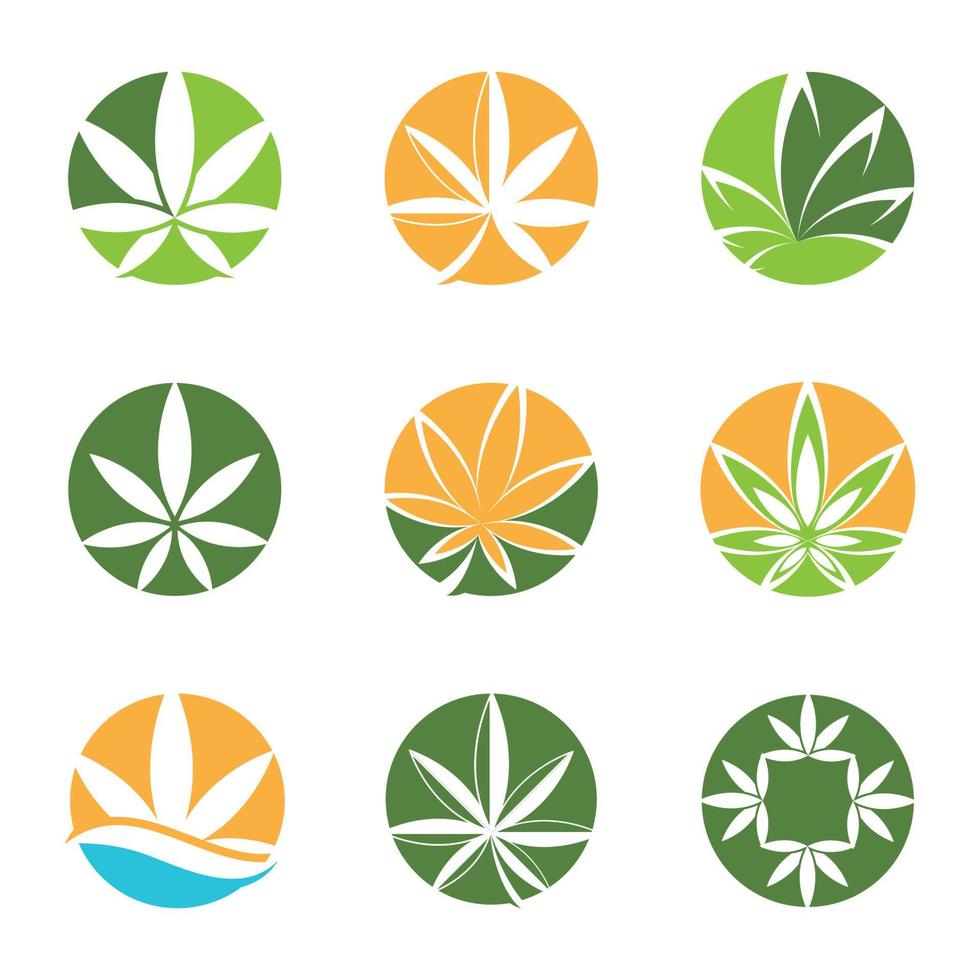 Canabis leaf logo vector illustration design