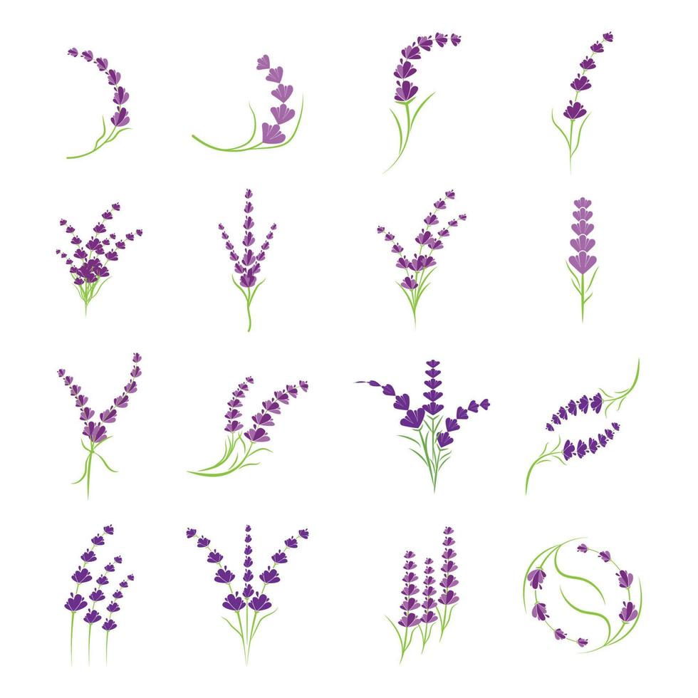 Lavender Logo Template vector symbol nature