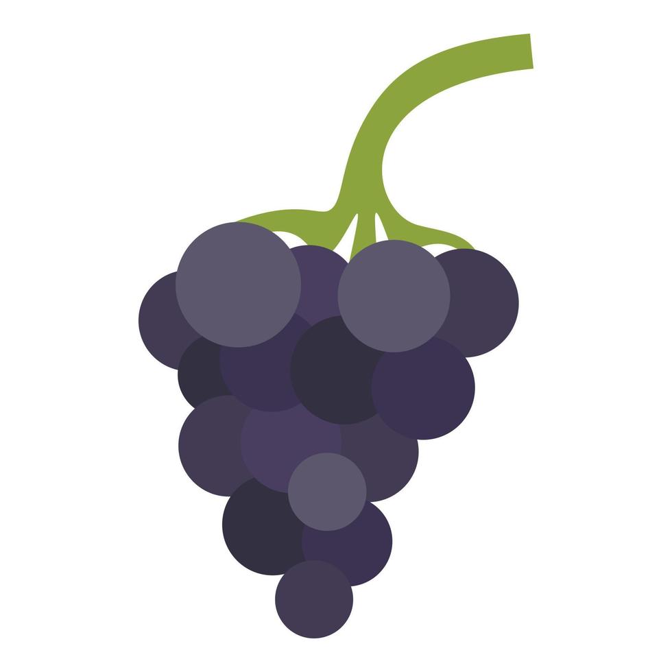 icono de racimo de uvas, estilo plano vector