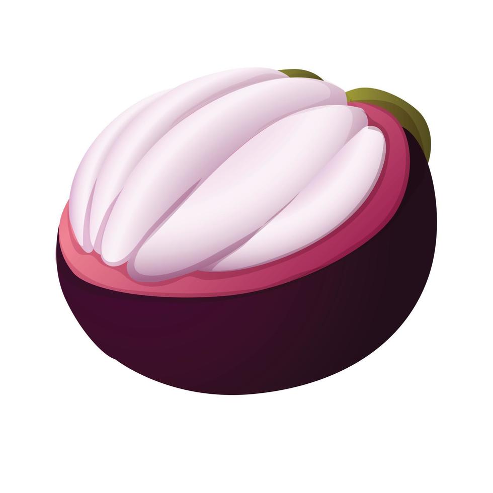 Mangosteen fruit icon, cartoon style vector