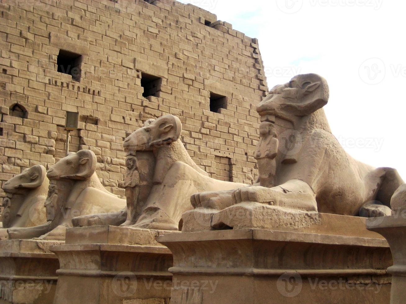 Sphinx statues with the head of a ram in the Ancient Temple of Karnak in Egypt photo