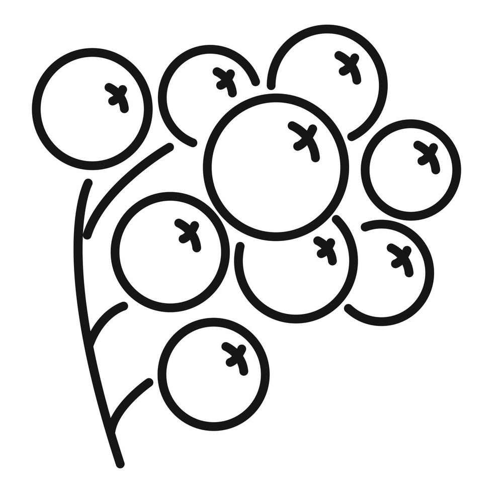 Rowan forest berry icon, outline style vector