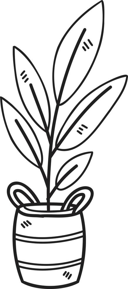 Hand Drawn plant pot illustration vector
