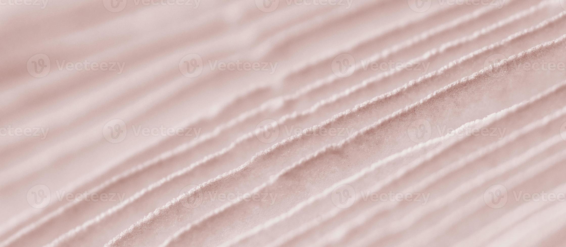 Agaric mushroom gills under cap macro close up photo, depth of field photography photo