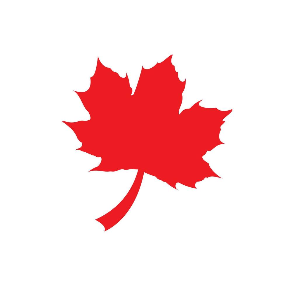 Red maple leaf logo icon design template vector