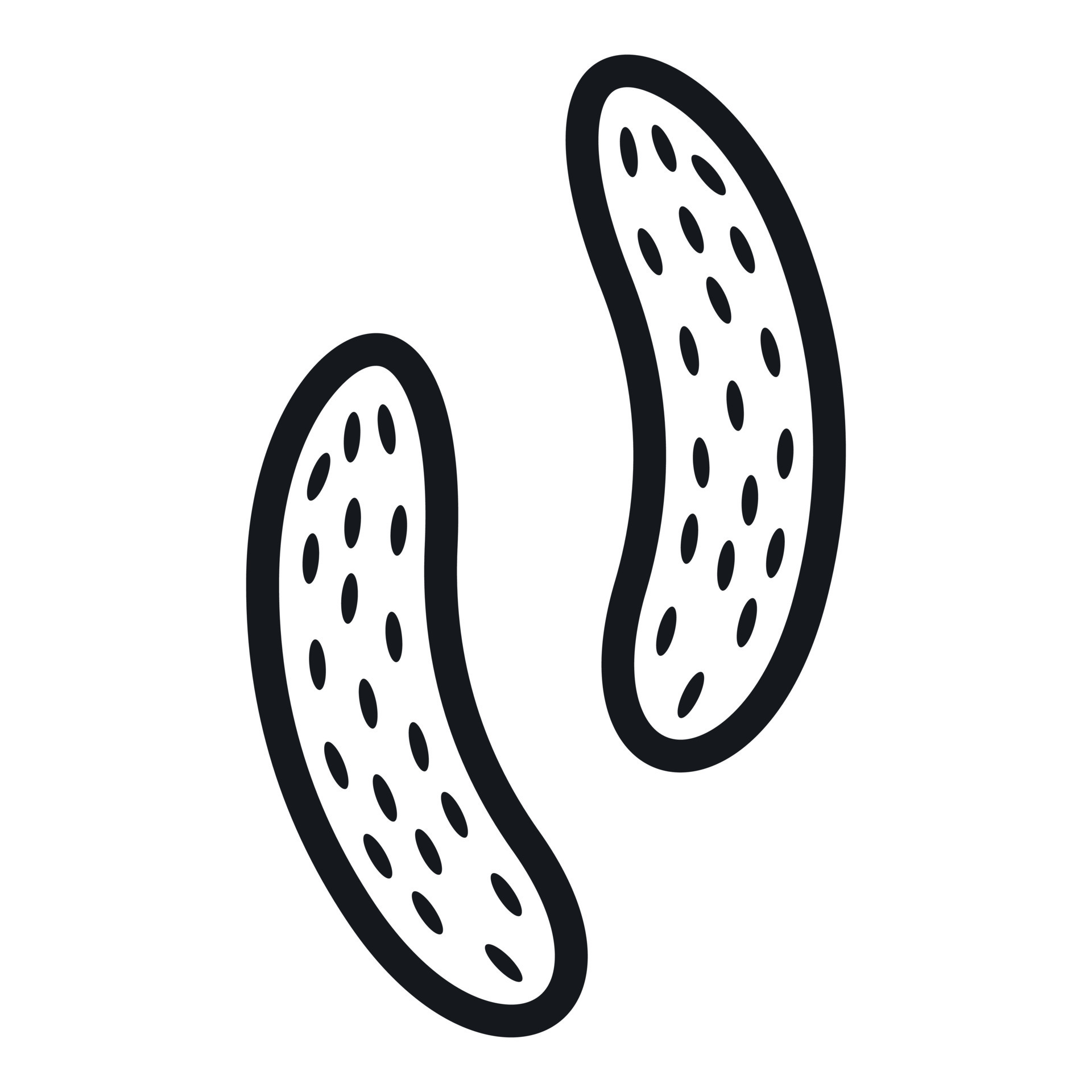 Which Epithelial Cell Type Controls Your [Relevant Body Function]? - hd8u05v