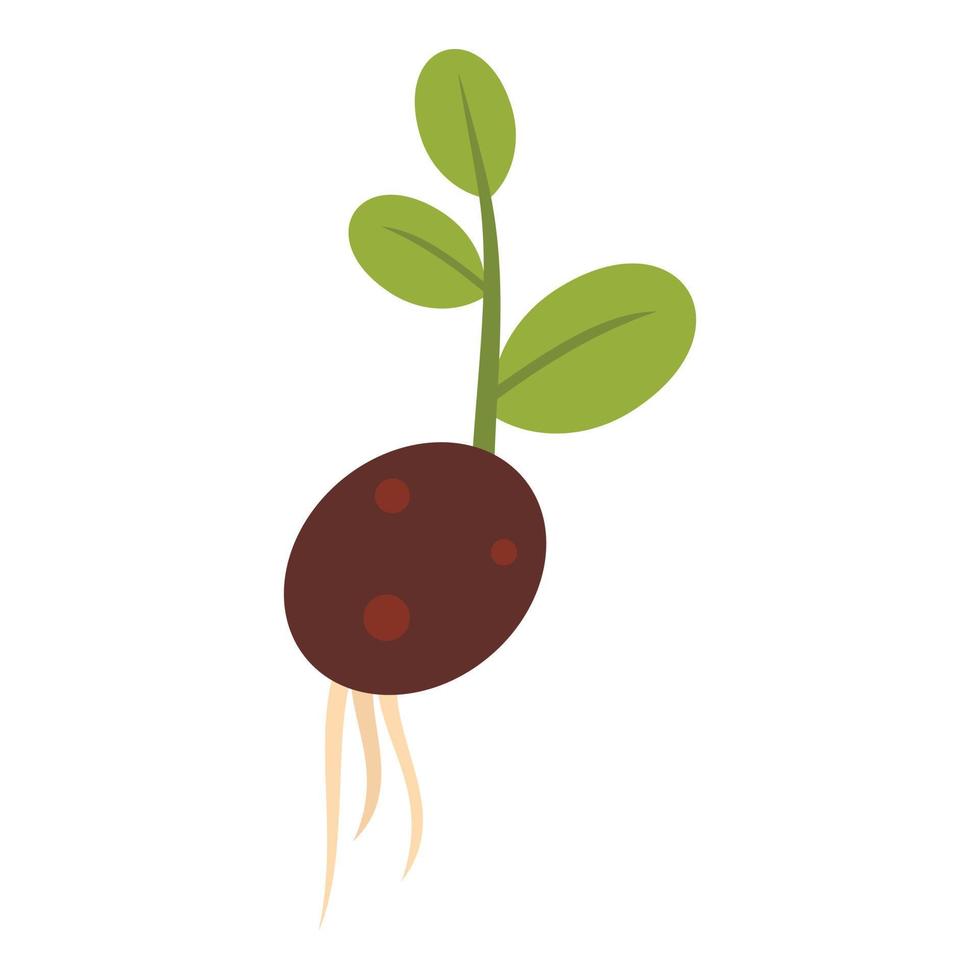 Sprout potatoes icon, flat style vector