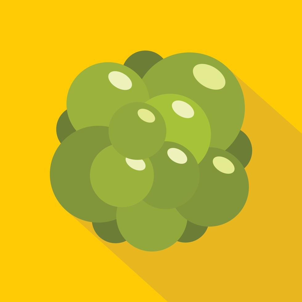 Ovary icon, flat style vector