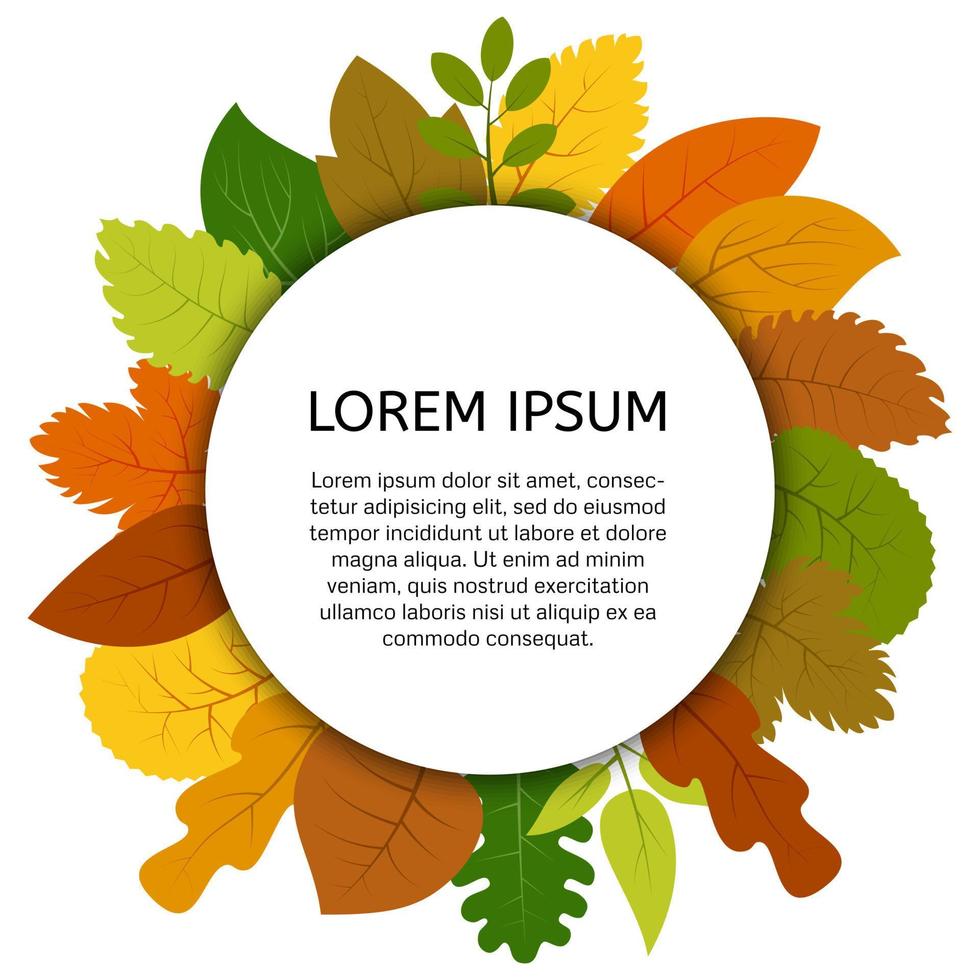 Colorful autumn leaves under white round label. Vector card with yellow leaves isolated on white background