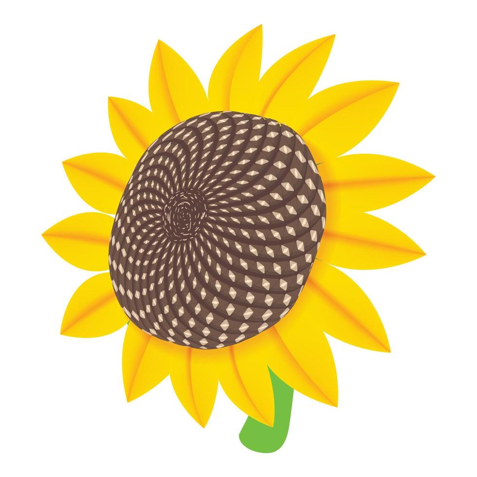 Sun flower icon, cartoon style vector