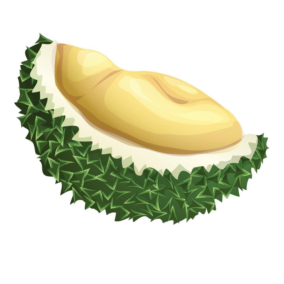 icono de medio durian cortado, estilo de dibujos animados vector