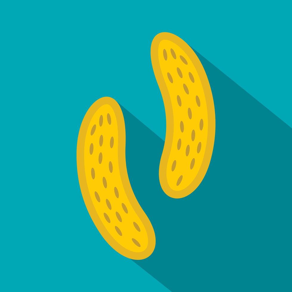 Epithelial cell icon, flat style vector
