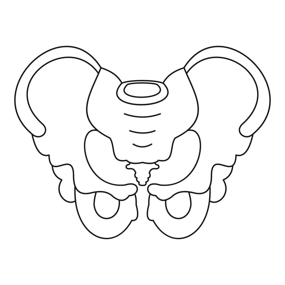 icono de pelvis, estilo de esquema vector