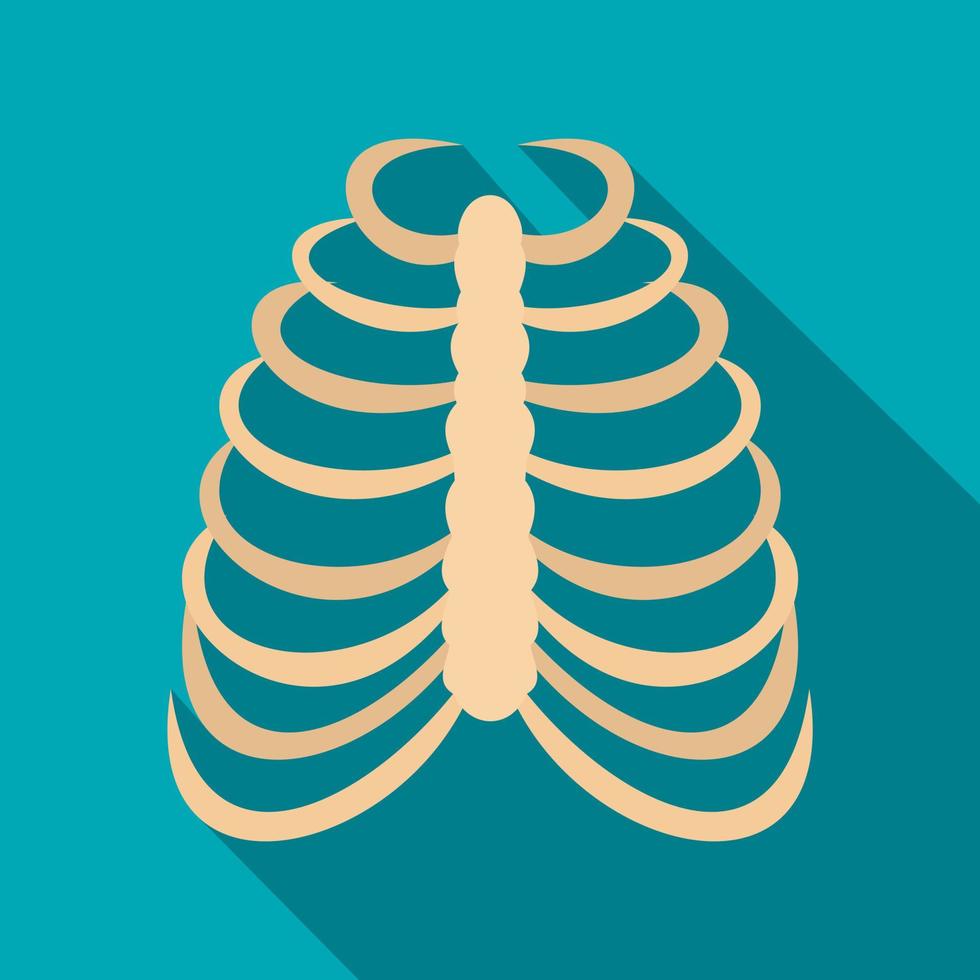 Rib cage icon, flat style vector