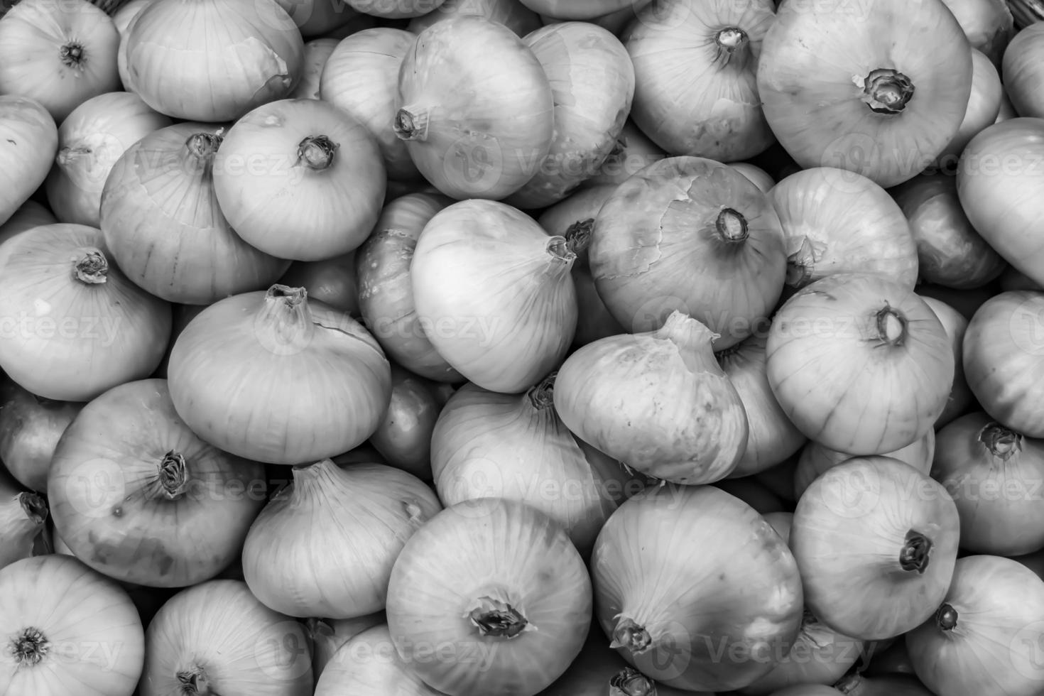 fotografía sobre el tema hermosa planta vegetal de cebolla foto