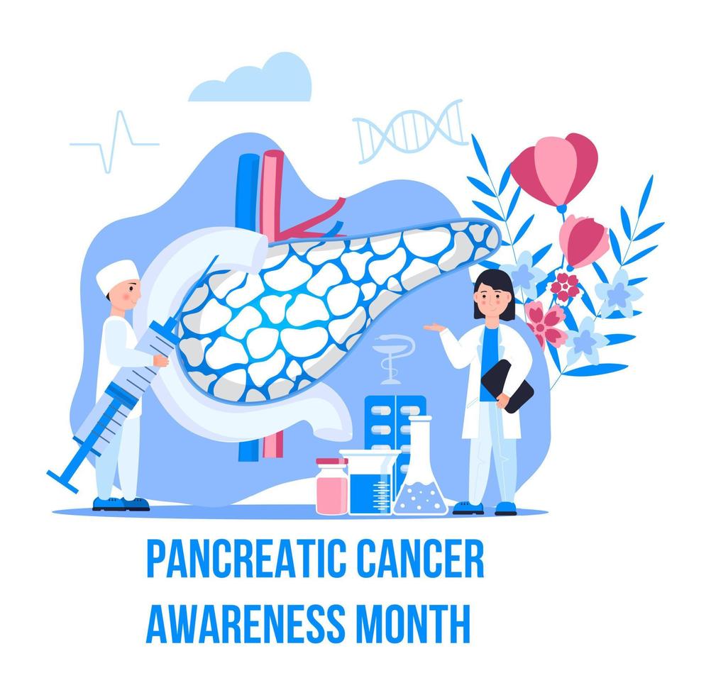 Pancreatic Cancer Awareness Month is organised on November in USA. Pancreas doctors examine. vector