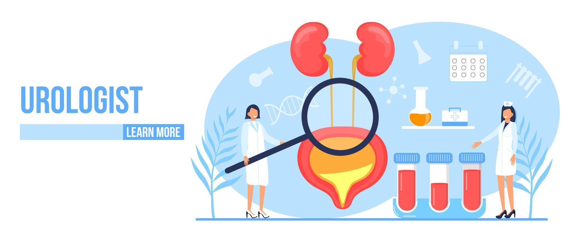 Urologist, nephropathy concept vector. Tiny doctors treat kidneys. Pyelonephritis and kidney stones diseases are shown. Renal failure illustration for website vector