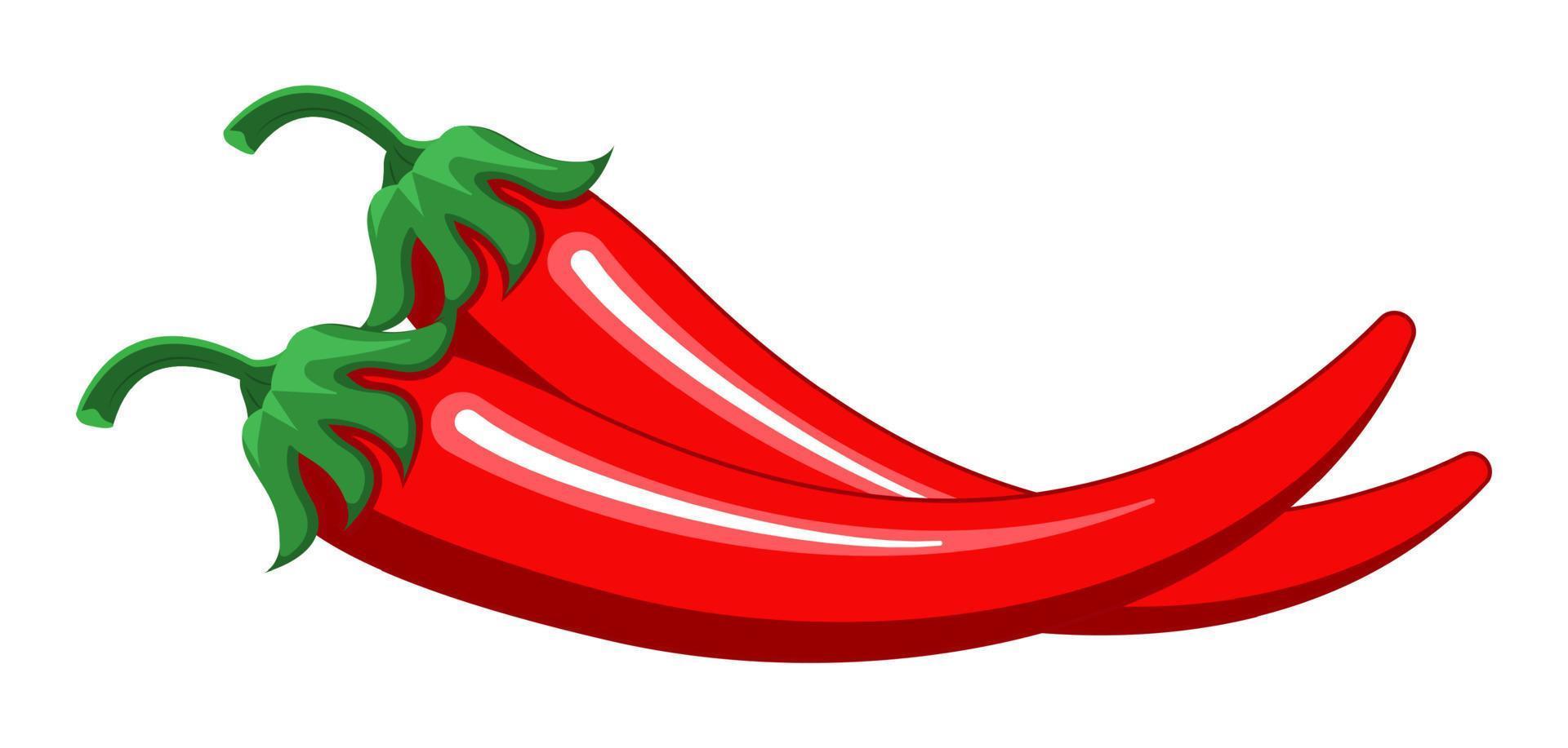 Red chilly peppers vector isolated on the white background. Hot chillies for food logo, banner, flyer