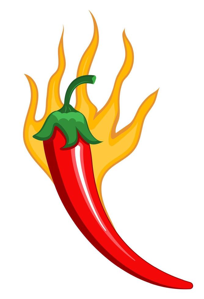 Red chilly peppers are burning as spicy sign. Cartoon vector isolated on the white background. Hot chillies in fire for food logo, banner, flyer