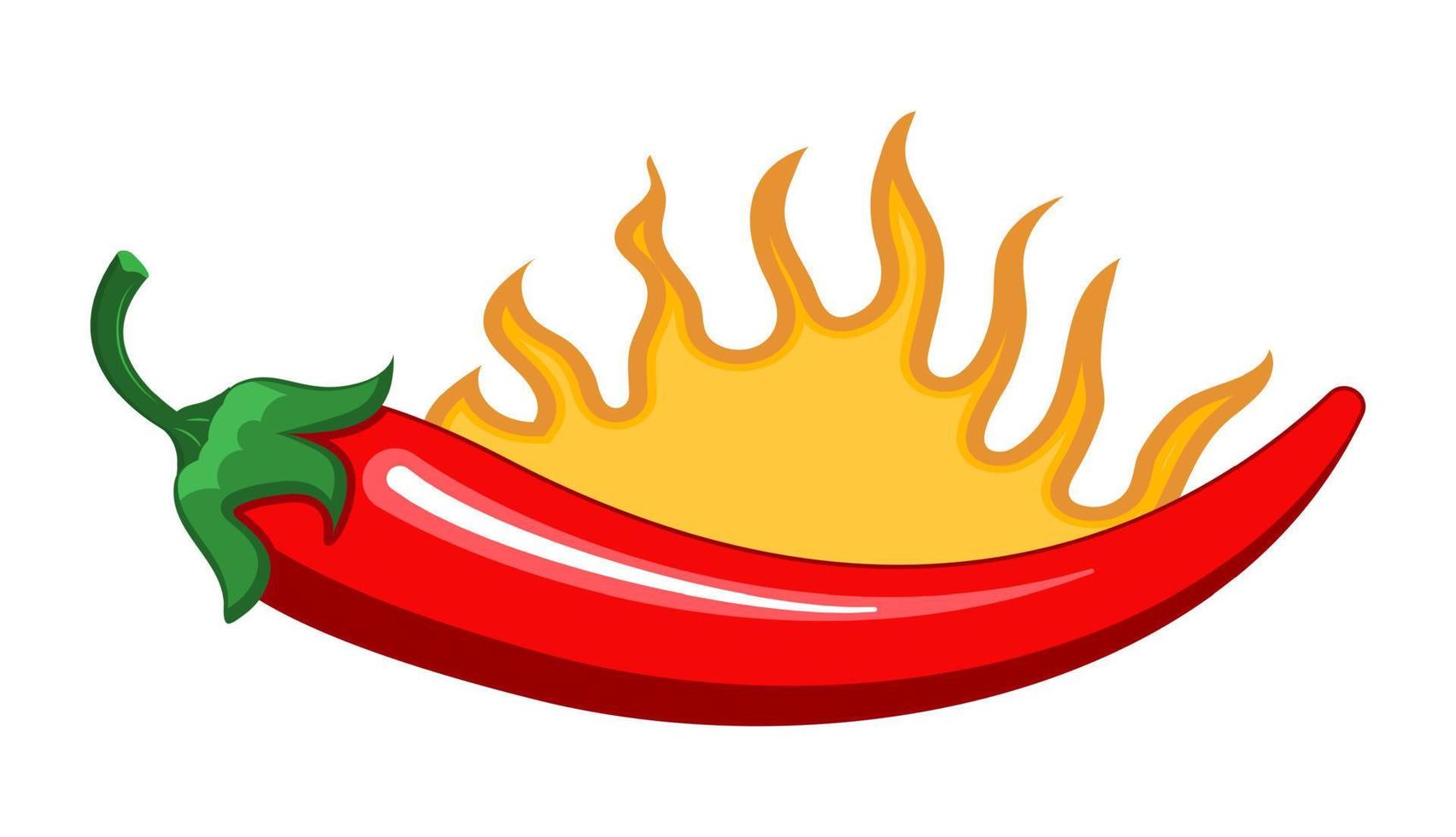 Red chilly peppers are burning as spicy sign. Cartoon vector isolated on the white background. Hot chillies in fire for food logo, banner, flyer