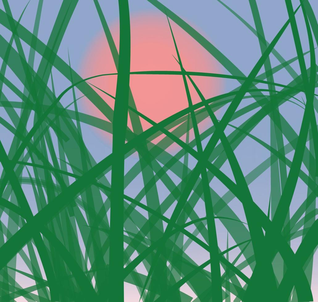 the sun behind the grass vector