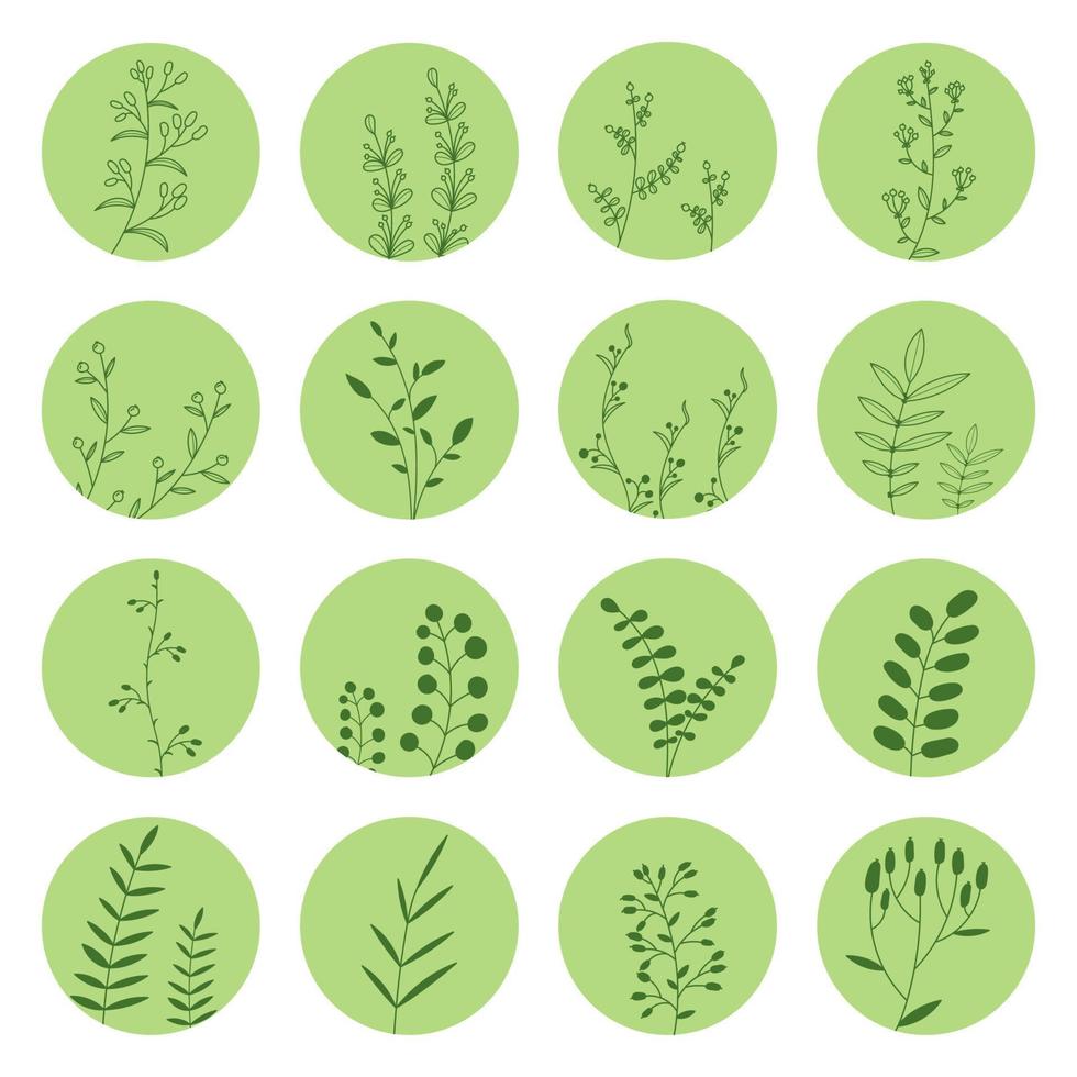 Collection of floral round icons in green color. Set of various vector highlight covers for social media stories. Hand drawn templates. Vector illustration