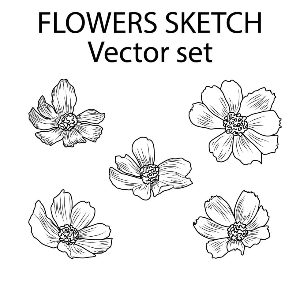 Set of opened flower buds. Five hand-drawn using sketch technique of black contour flowers in a realistic style vector