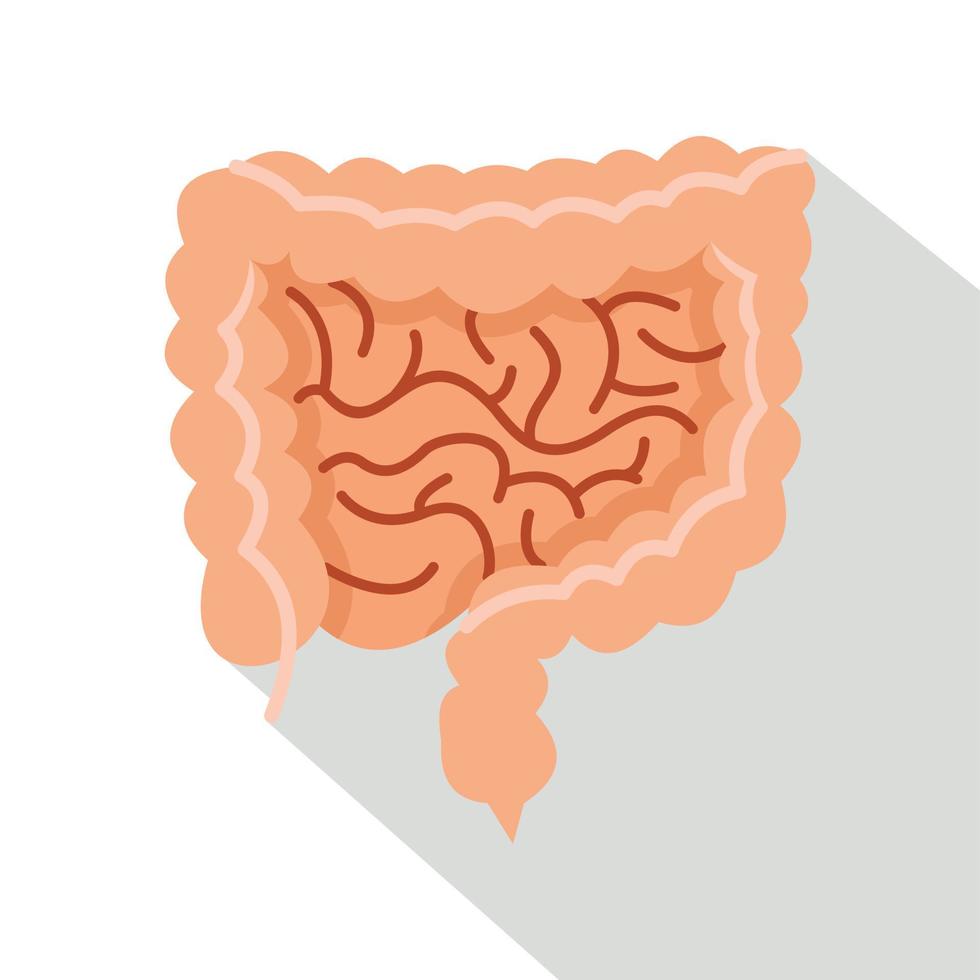 icono de intestinos, tipo plano vector