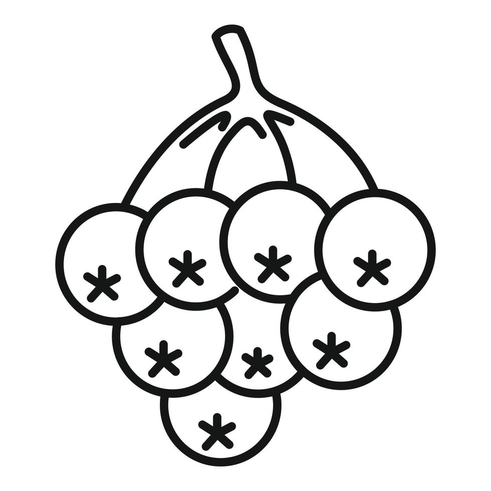 Rowan autumn berry icon, outline style vector