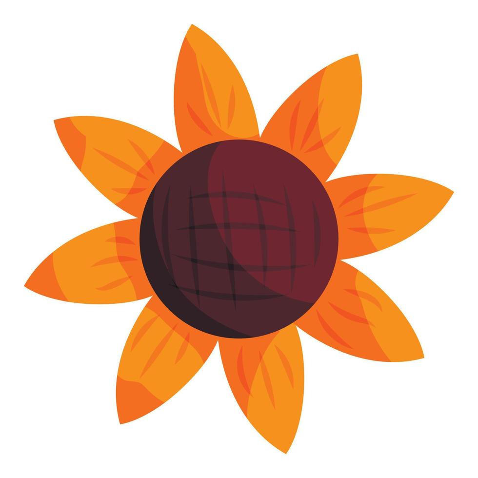 Sun flower icon, cartoon style vector