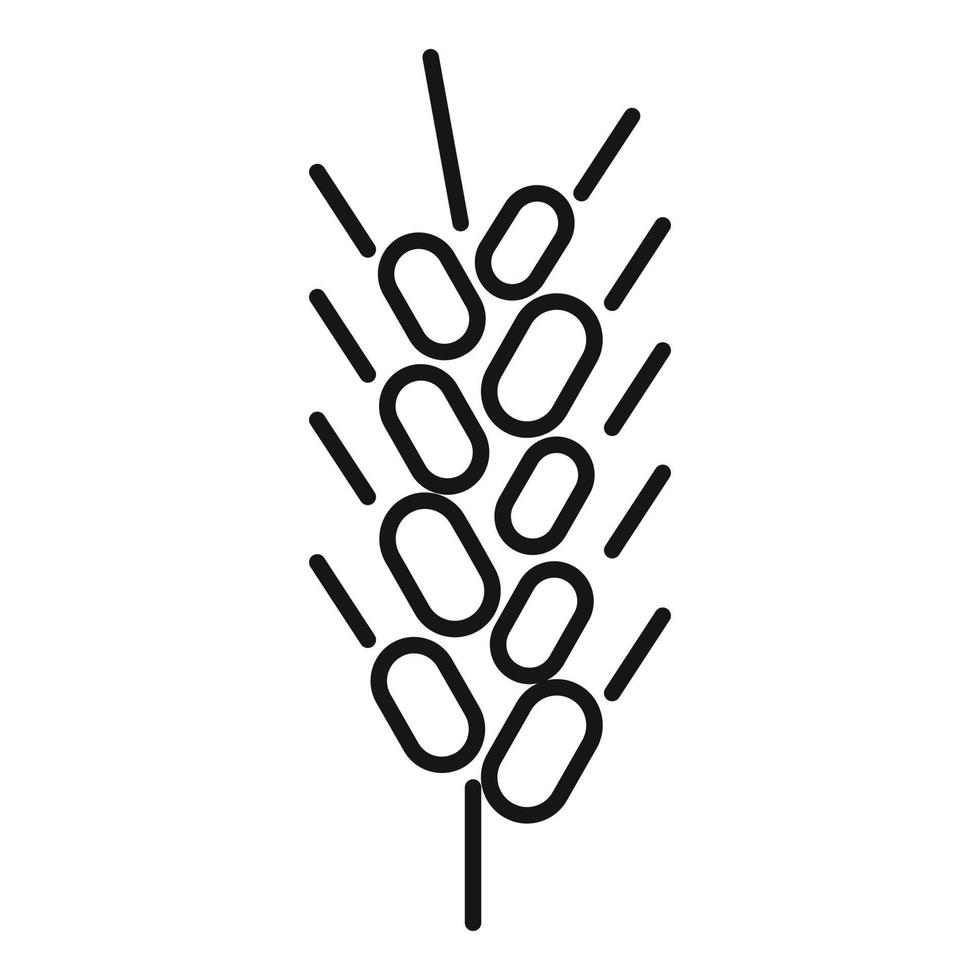 Wheat plant icon, outline style vector