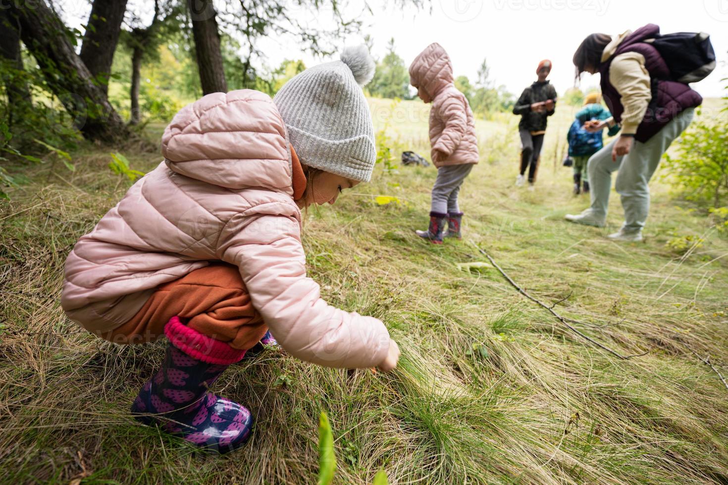 Mother and children searching mushrooms in the wild forest. photo