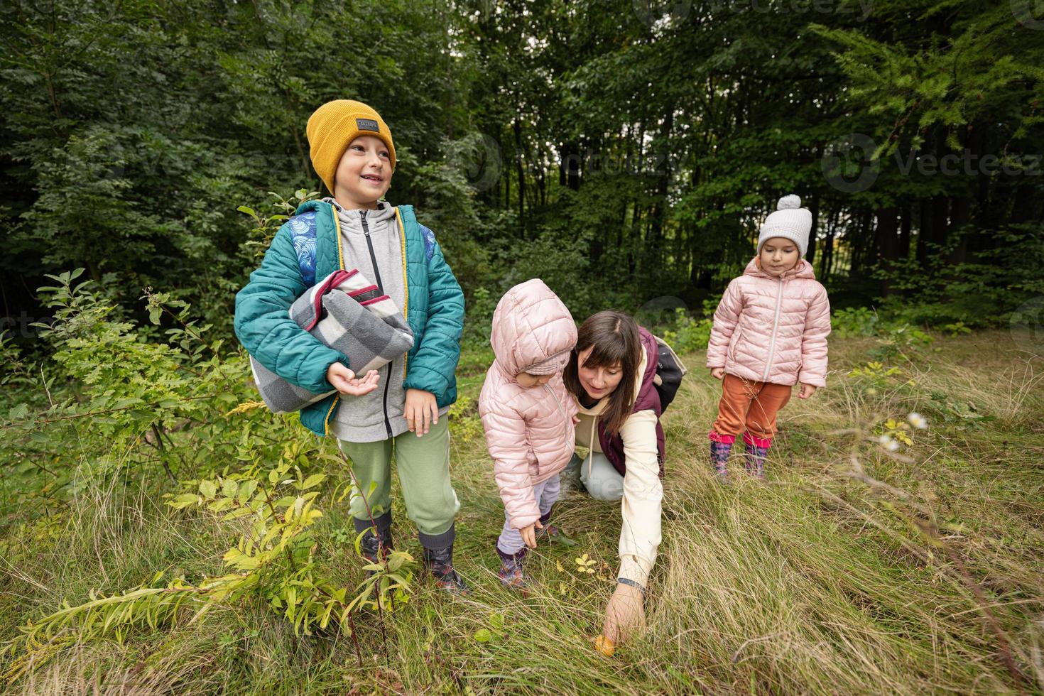 Mother and children searching mushrooms in the wild forest. photo