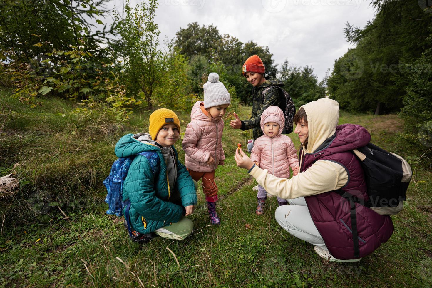 Mother and children searching mushrooms in the wild forest. photo