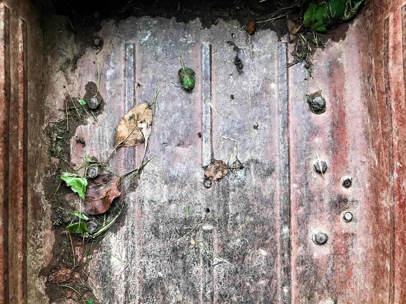 texture, natural background. pink metal trolley with rust. inside are plants and herbs. on the texture there are large bolts, rust, greenery and moss. herbarium, autumn dry grass photo