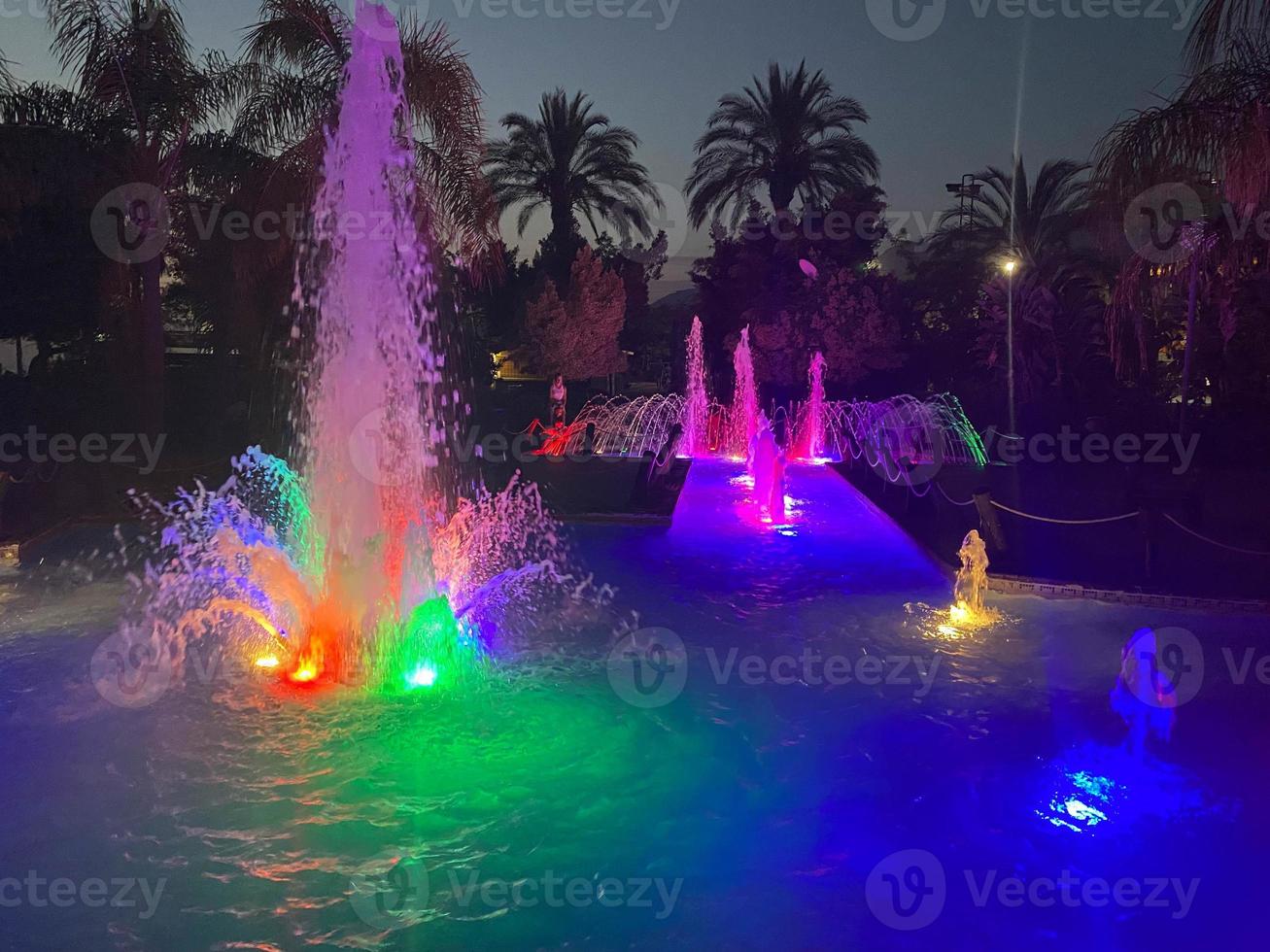 A beautiful night singing fountain with jets of water and splashes with multi-colored illumination against the backdrop of tropical palm trees photo