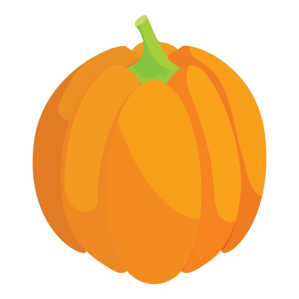 Pumpkin icon, cartoon style vector