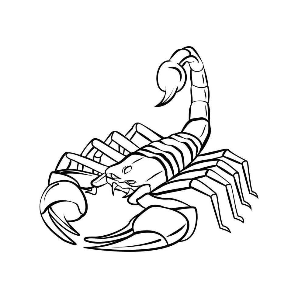 Scorpion Warrior Black and White vector