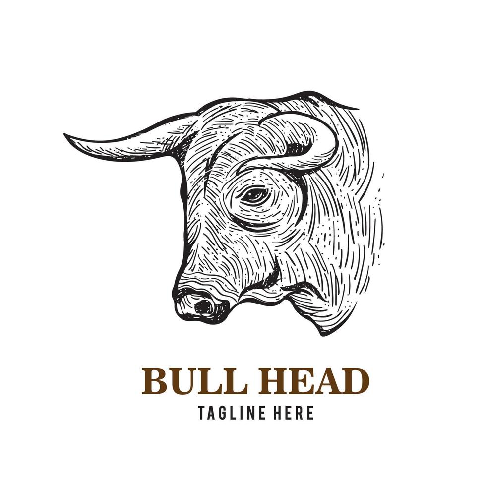 Bull head vector illustration in hand drawn style, good for butcher shop logo design and t shirt design